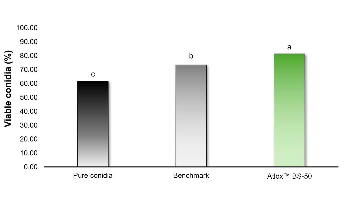 LT comparison Conidial viability results