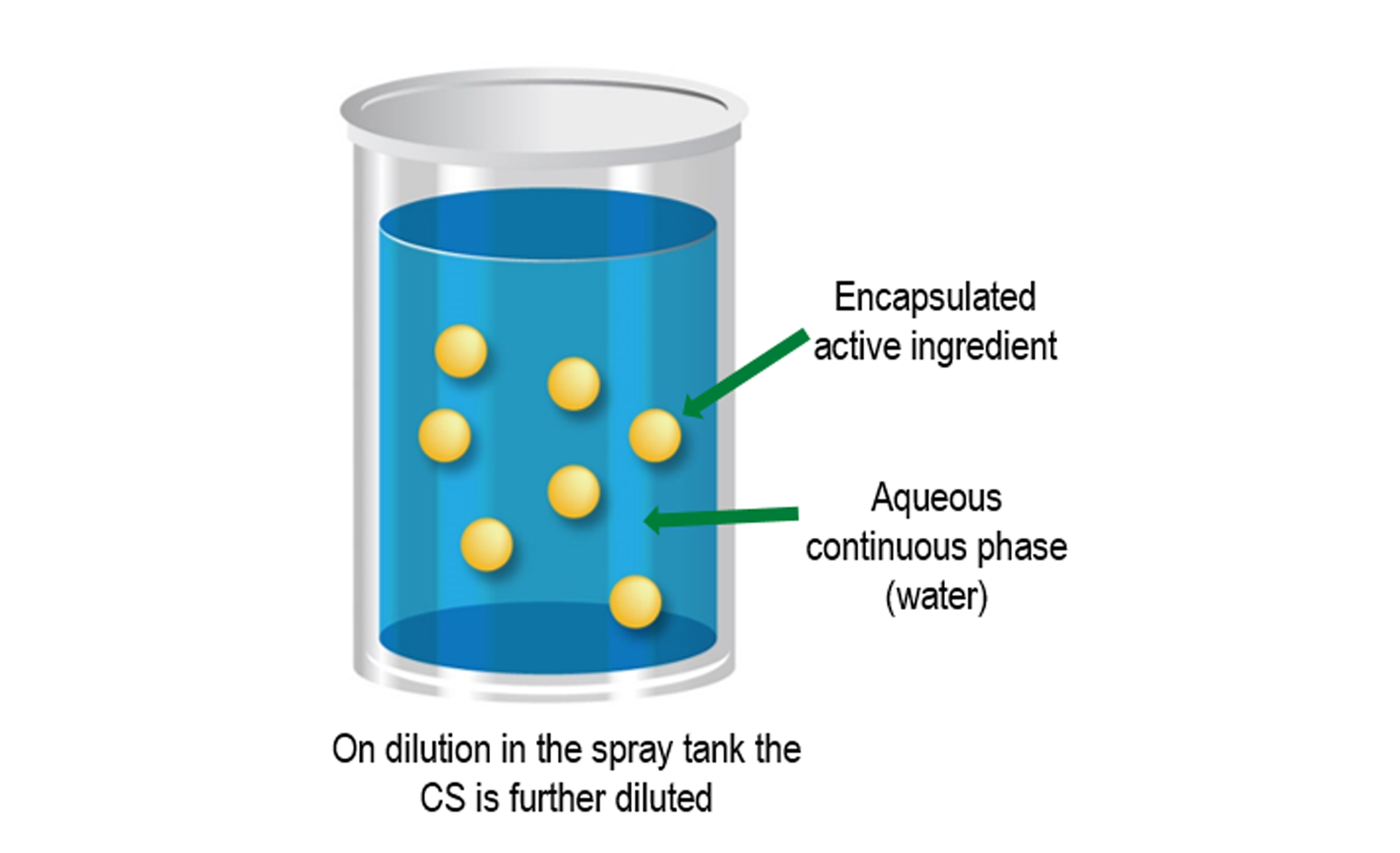 CS formulation diagram