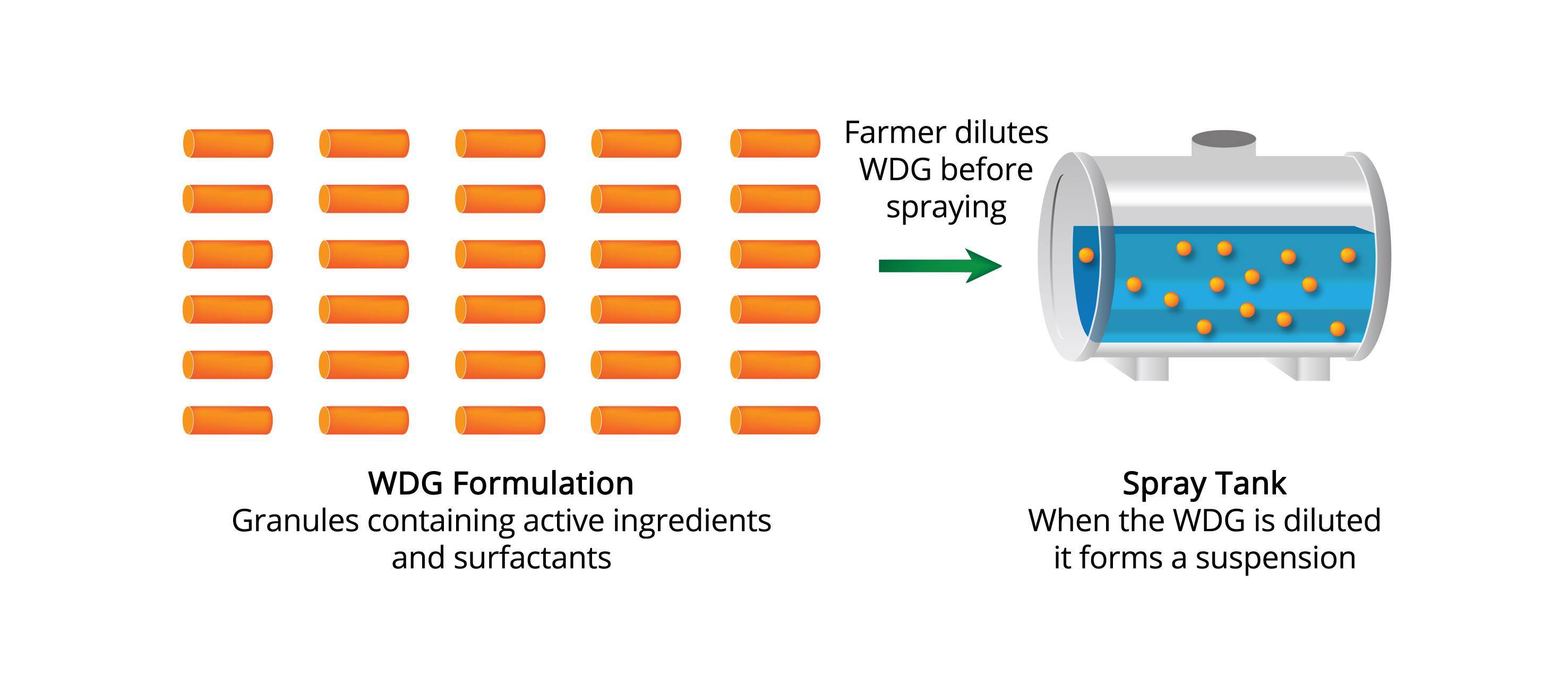 WDG formulation diagram