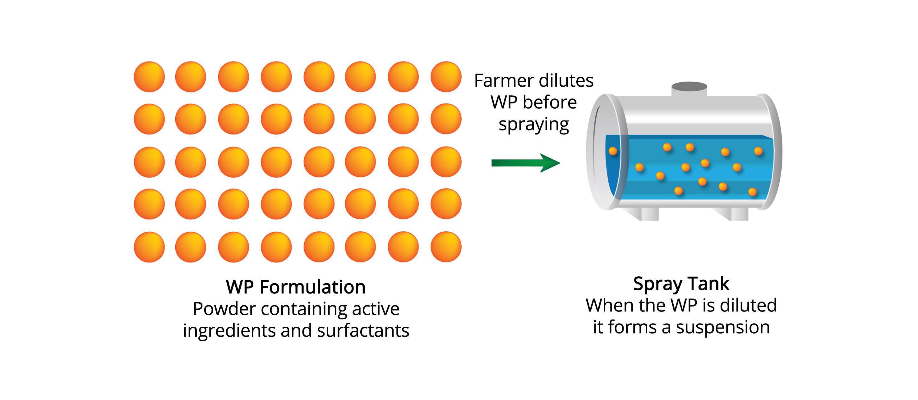 WP formulation diagram